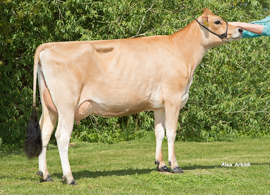 VJ Janko-datter fra Karsten Højgaard, Møldrup J.