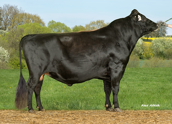 VJ Janko (DJ Jason).jpg