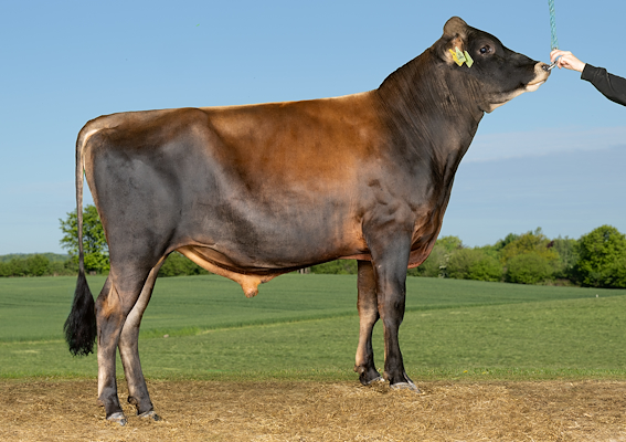 VJ Jukka (VJ Juke).jpg