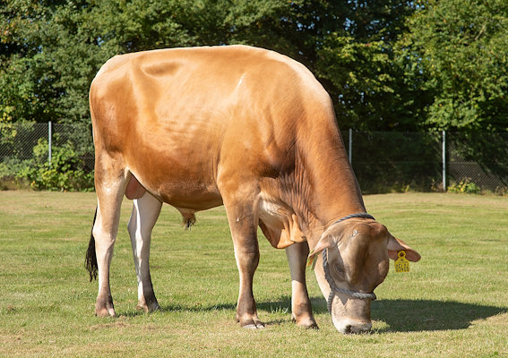 VJ Lake (VJ Leander) (1).jpg