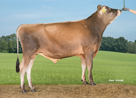 VJ Laller (VJ Lurik) 304253.jpg