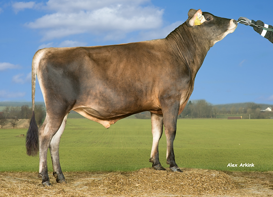 VJ Lasky (VJ Lari).jpg