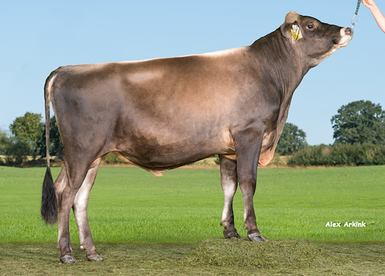 VJ Leaks P (Listowel P).jpg