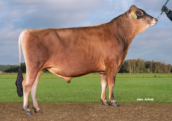 VJ Leander (VJ Luxplus).jpg