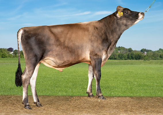 VJ Lee PP (VJ Lagoa P).jpg