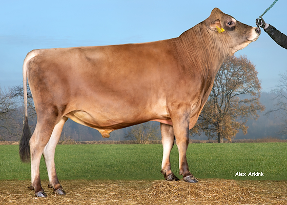 VJ Lendum (VJ Leica) 304913.jpg