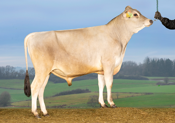 VJ Lenus (VJ Leblanc).jpg