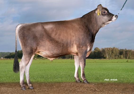 VJ Leo (VJ Lastrup).jpg