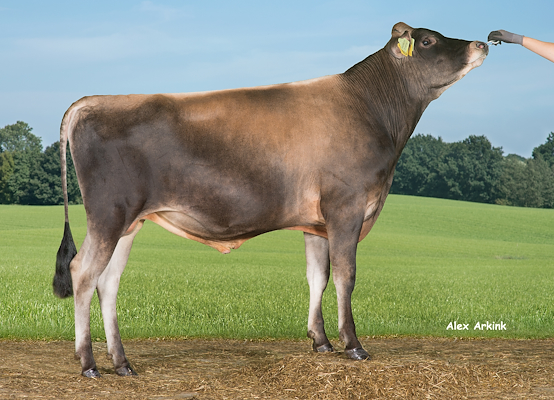 VJ Lesten (VJ Lurik) 304255.jpg