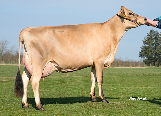 VJ Link datter fra Vagn Lindy Petersen, Skjern