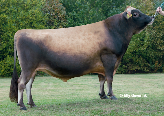 VJ Link (Legacy) no. 303327.jpg