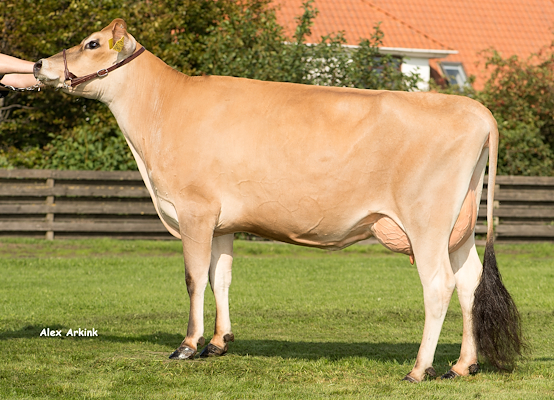 VJ Livius-datter fra Alstrup I/S, Brønderslev