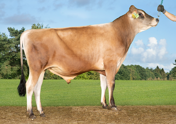 VJ Luca (VJ Leblanc).jpg