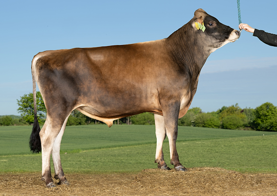 VJ MagnetP (VJ MBA PP).jpg