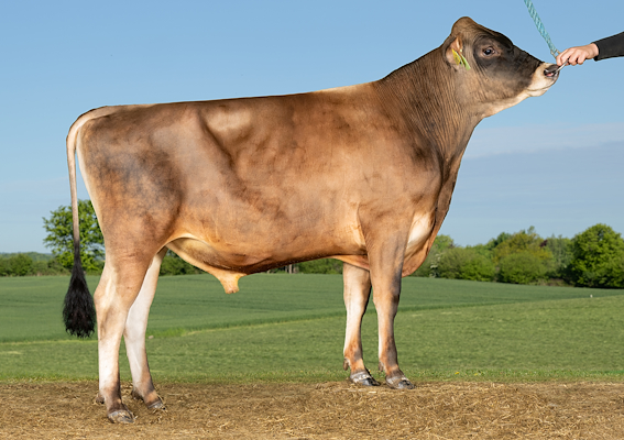 VJ Mercy P (VJ MBA PP).jpg