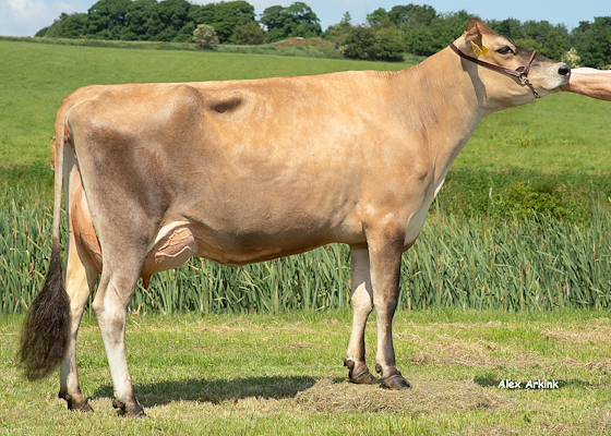 VJ Mojn-datter fra Jørn Mikkelsen, Søften