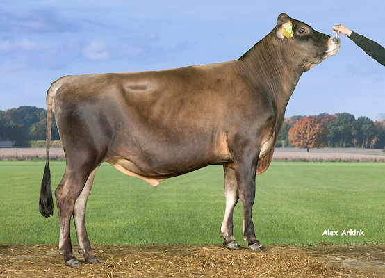 VJ Mojn (VJ Hoj) 304298.jpg