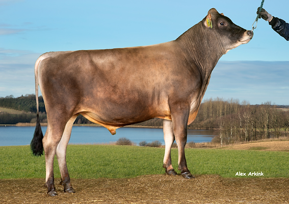 VJ Monse (VJ Luxplus).jpg