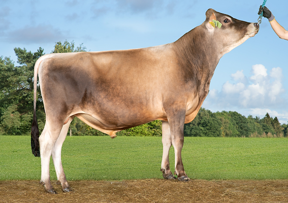 VJ Nobu (VJ Nihari).jpg