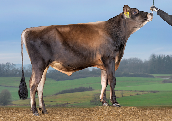 VJ Pacho (VJ Dalin).jpg