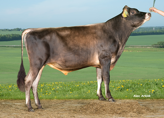 VJ Powel (VJ Perez).jpg