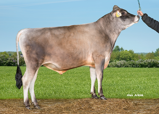 VJ Quick (VJ Quintana).jpg