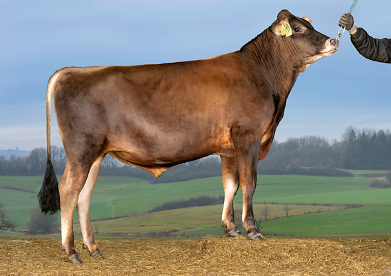 VJ Rastrup (VJ Rockit).jpg