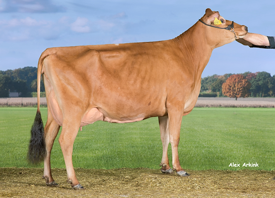 Mor til VJ Rowa fra Otto Waskiv Pedersen, Søndersø