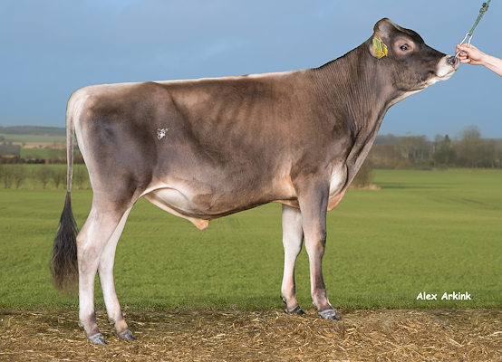 VJ Samson (VJ Hove) 304415.jpg