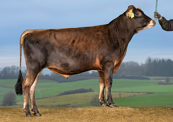 VJ Saron (VJ Storer).jpg