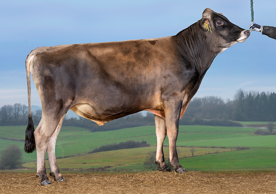 VJ Sassy (VJ Sultan).jpg