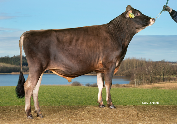 VJ Swan (VJ Splash).jpg