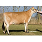 VJ Tester daughter no. 45007-5107 from Ole S¢rensen_Ribe.jpg