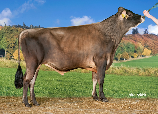 VJ Tinker no 303961 (VJ Tester).jpg