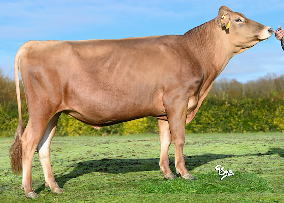 VJ Uttrup (VJ Nicas).jpg