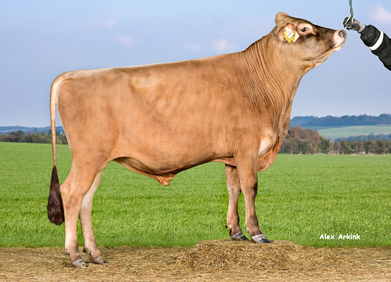 VJ Violent-P (VJ Quintana).jpg