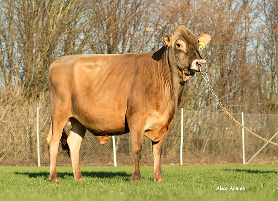 VJ Violent-P (VJ Quintana) - Scenic.jpg