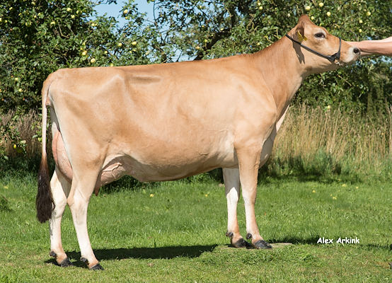 VJ Zummit-datter fra Johan Hansen, Broby