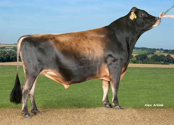 VJ Zummit (DJ Zuma) no 303532.jpg