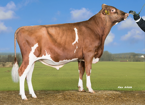 VR Aidan (VR Ascot).jpg