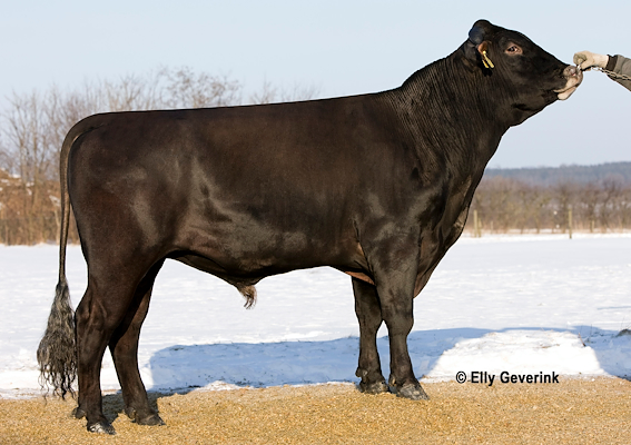 VR Alibi (R Alfa).jpg