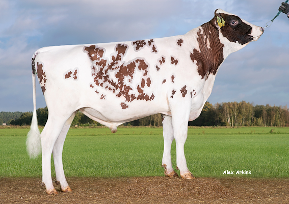 VR Apollon (VR Abin).jpg