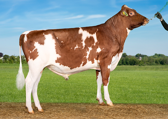 VR Arbel (VR Abin).jpg