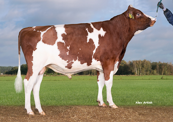 VR Ariam (VR Arvid).jpg