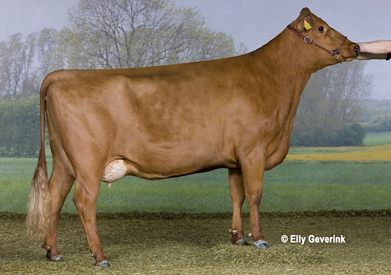 VR Cigar-datter fra Henrik Jespersen, Ejby