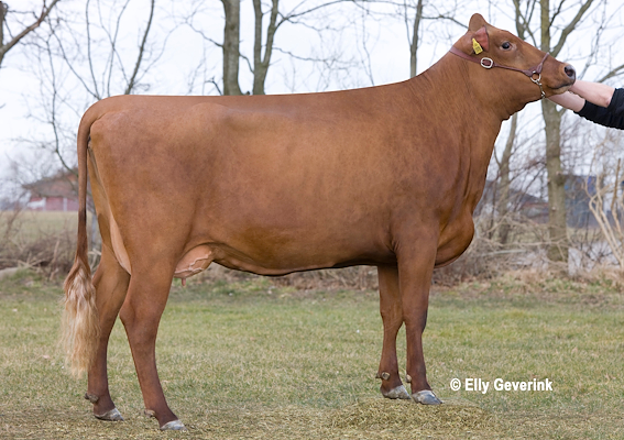 VR Cigar-datter fra Benny Jespersen, Aulum
