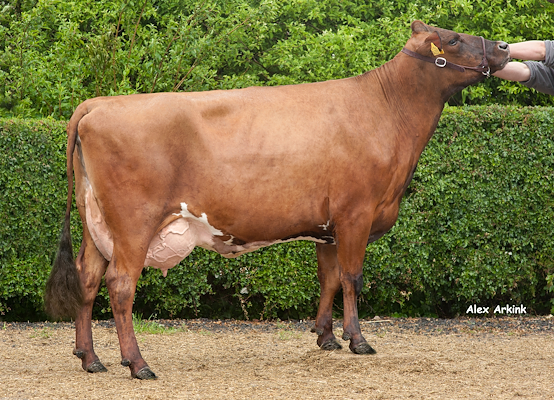 Mor til VR Cigar fra Morten Hansen, Vrå