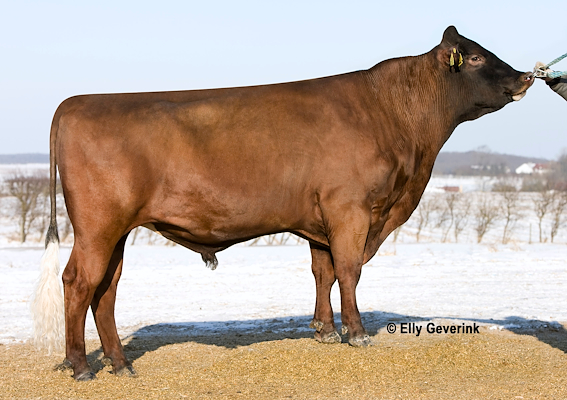 VR Cigar (R Cirkel).jpg