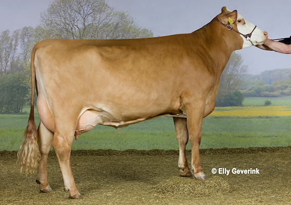 VR Coma-datter fra Erik Nørbjerg, Bedsted