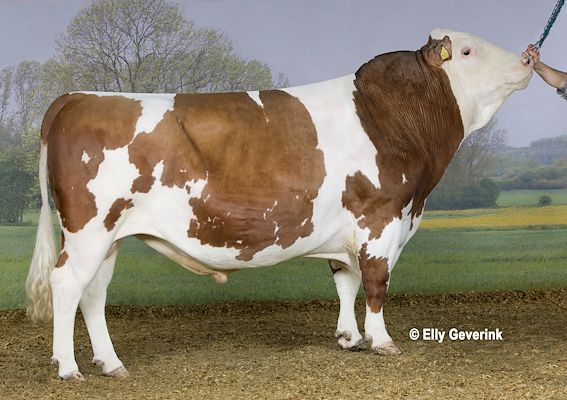 VR Coma no. 36801 (R Caj).jpg